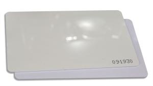 Заготовка, карта тонкая ISO (H2)