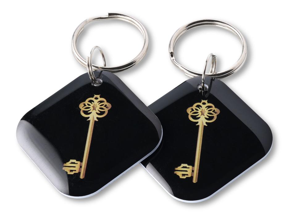 Золотой ключ чёрный EPOXY (чип H2)