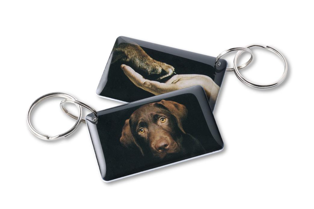 Пёс EPOXY (чип H2)