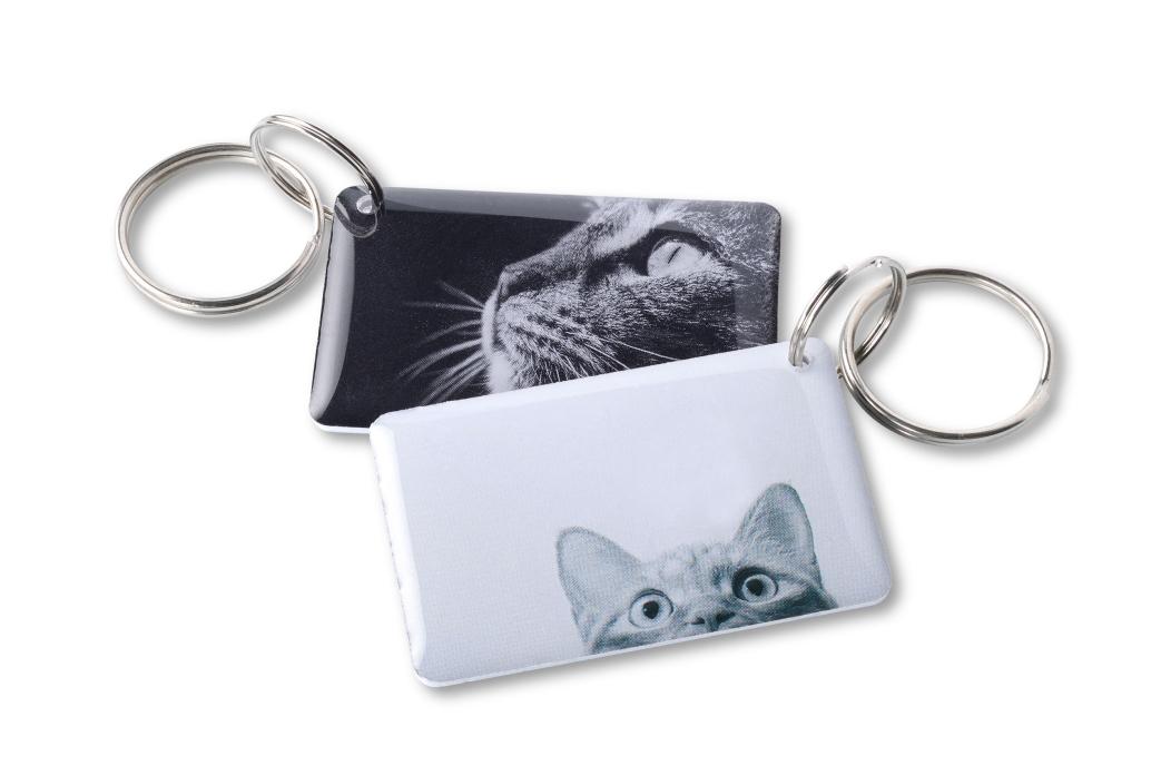 Кот EPOXY (чип H2)