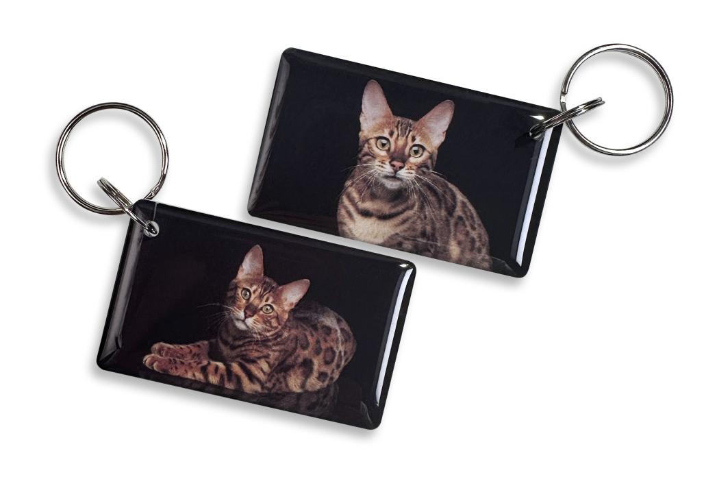 Бенгальский кот EPOXY (чип iFK)